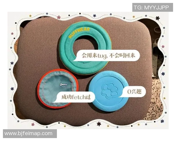 飞盘运动必备防护垫选购指南与推荐技巧分享