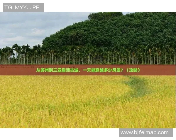 极限运动战术探秘：西安极限运动队的创新阵地战体系解析